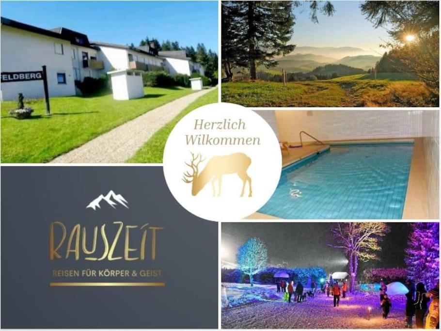 Urlaub Auf 1.000 Meter Hoehe Mit Pool Und Sauna Schoenwald im Schwarzwald Exterior photo