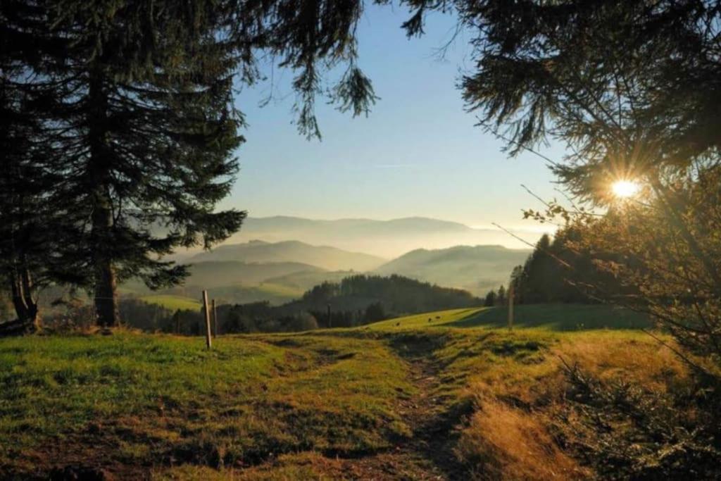 Urlaub Auf 1.000 Meter Hoehe Mit Pool Und Sauna Schoenwald im Schwarzwald Exterior photo