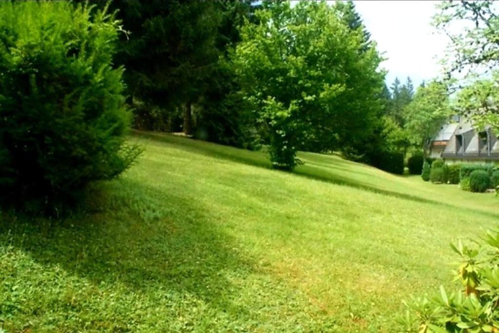 Urlaub Auf 1.000 Meter Hoehe Mit Pool Und Sauna Schoenwald im Schwarzwald Exterior photo