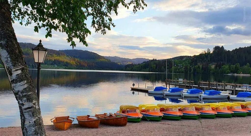 Urlaub Auf 1.000 Meter Hoehe Mit Pool Und Sauna Schoenwald im Schwarzwald Exterior photo