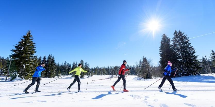 Urlaub Auf 1.000 Meter Hoehe Mit Pool Und Sauna Schoenwald im Schwarzwald Exterior photo