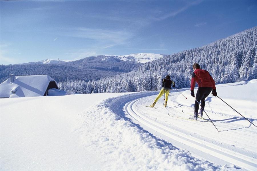 Urlaub Auf 1.000 Meter Hoehe Mit Pool Und Sauna Schoenwald im Schwarzwald Exterior photo