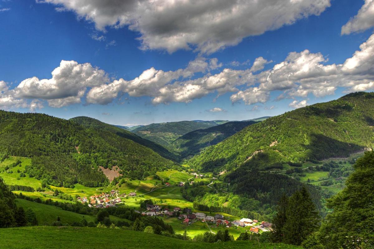 Urlaub Auf 1.000 Meter Hoehe Mit Pool Und Sauna Schoenwald im Schwarzwald Exterior photo